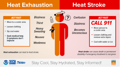 Infographic that shows how to recognize signs and support someone experiencing heat exhaustion and heat stroke.