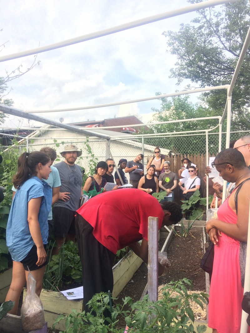 Group of people observing a wine cap mushroom demonstration