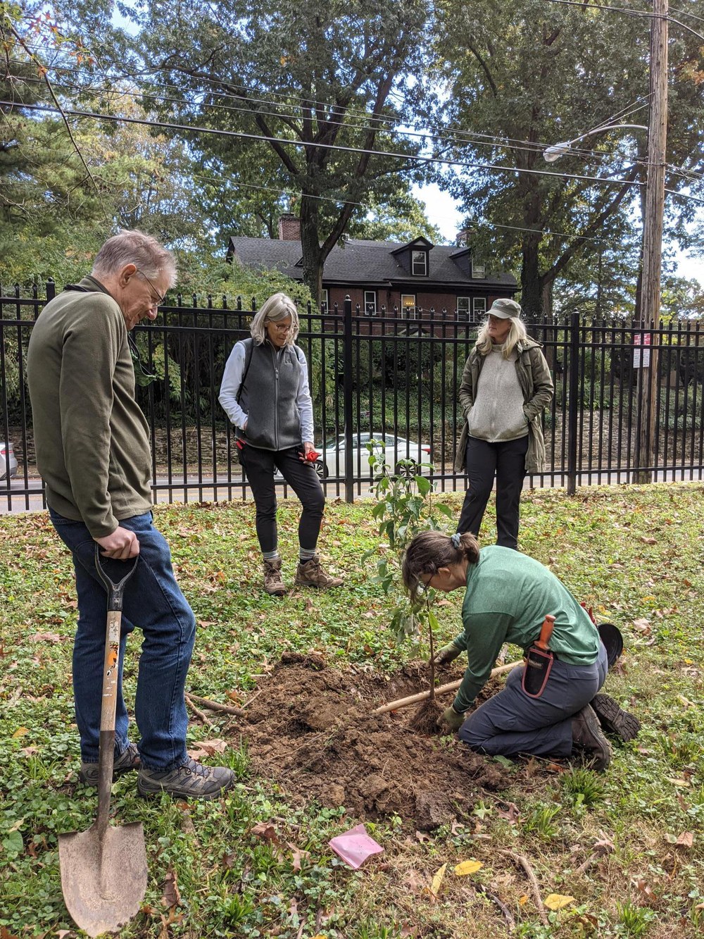 Penn State Extension Highlight: Urban Watersheds, "You have to show up" Master Watershed volunteers plants a tree in an urban neighborhood